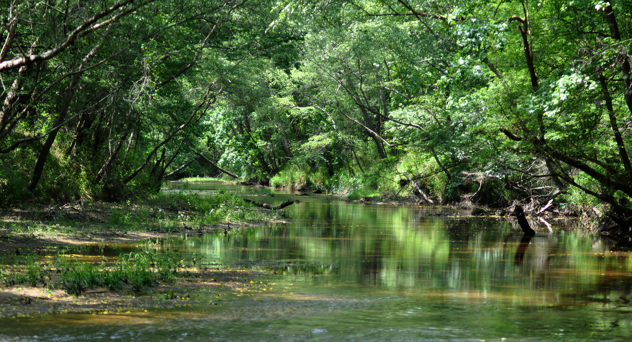 Peach Creek in Lake Houston Wilderness Park