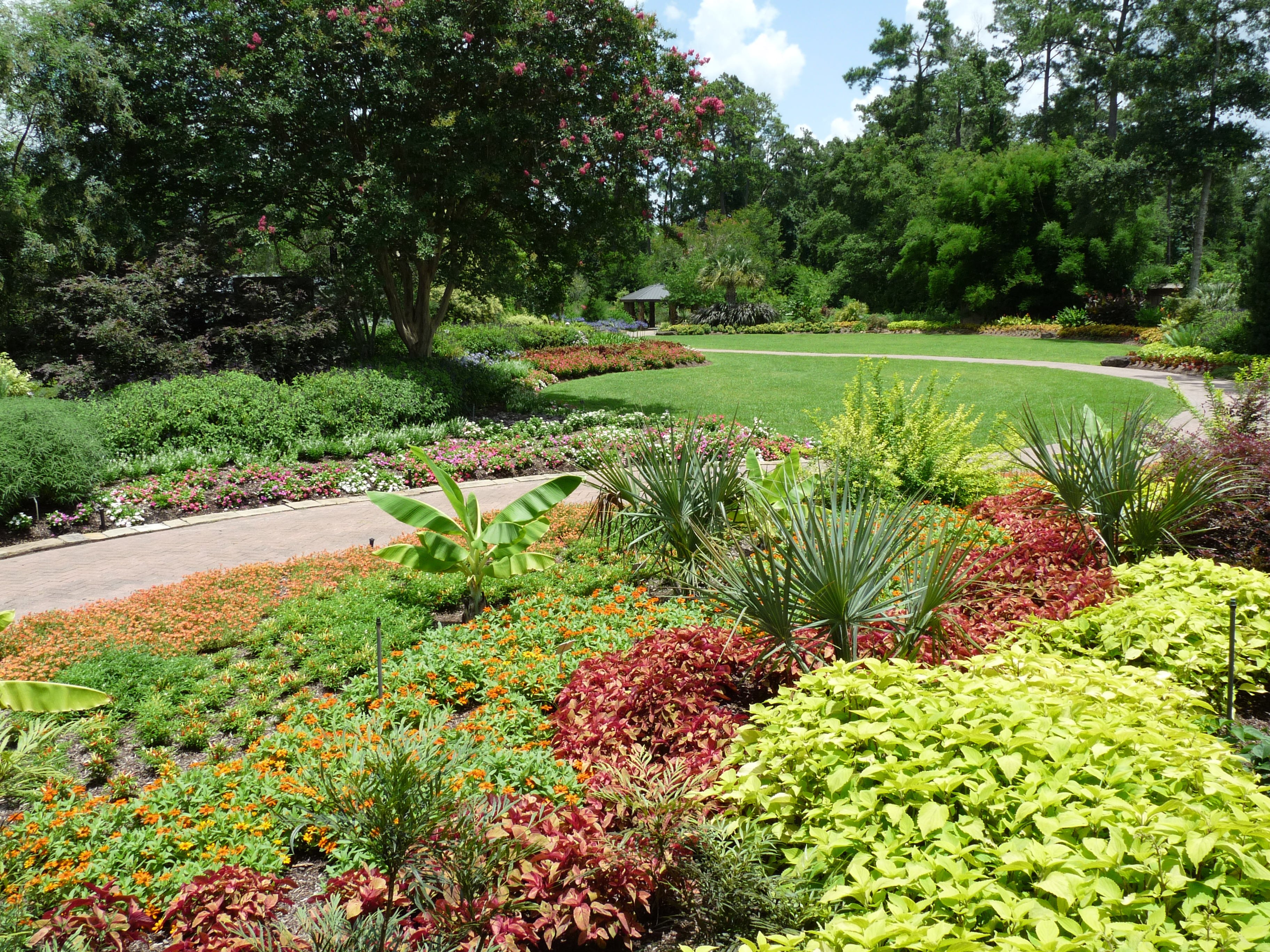 View of Mercer Botanic Gardens